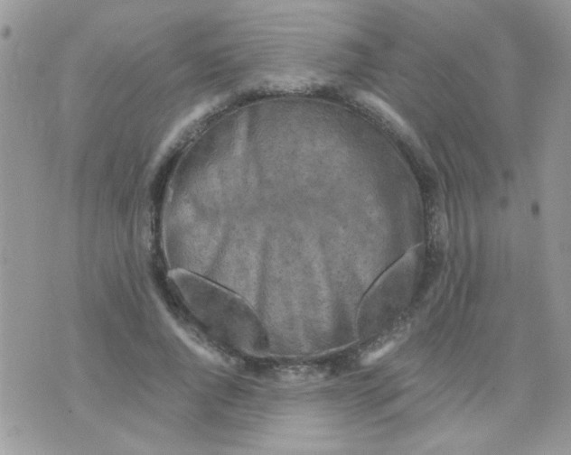 X0000073750736200608311934