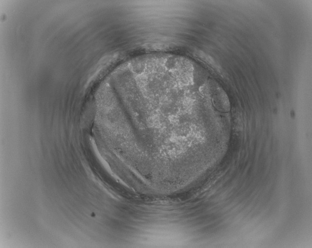 X0000073750738200608311934