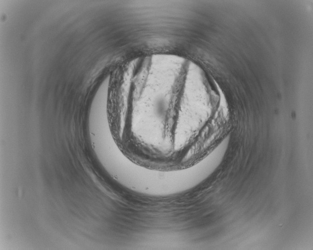 X0000073750742200608311935