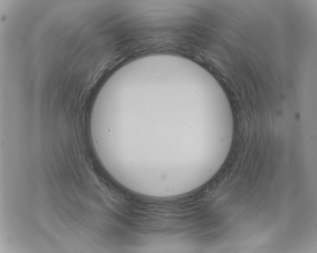 X0000073750743200608311935