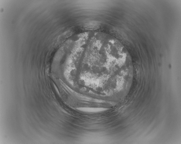 X0000073750745200608311935