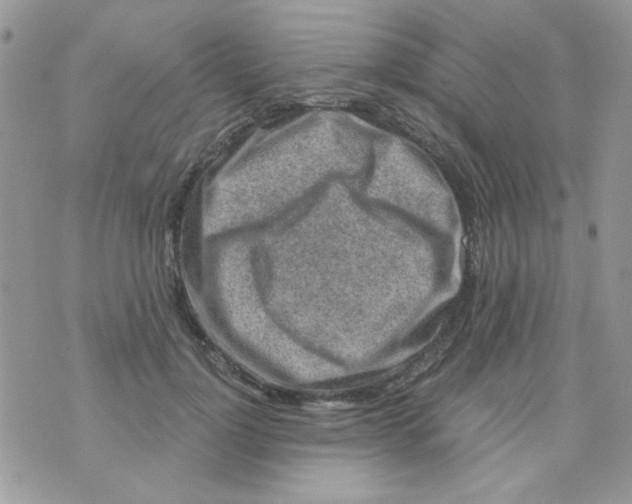 X0000073750748200608311935