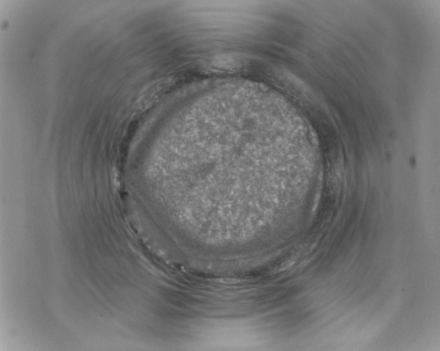 X0000073750749200608311935