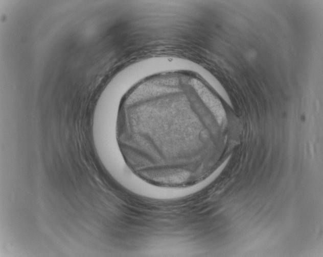 X0000073750751200608311935