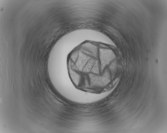 X0000073750752200608311935