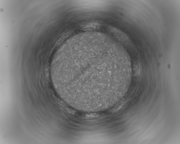 X0000073750753200608311935