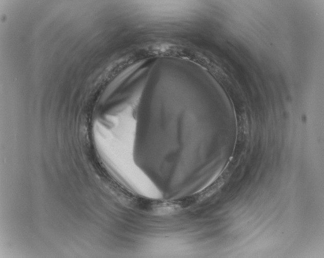 X0000073750754200608311935