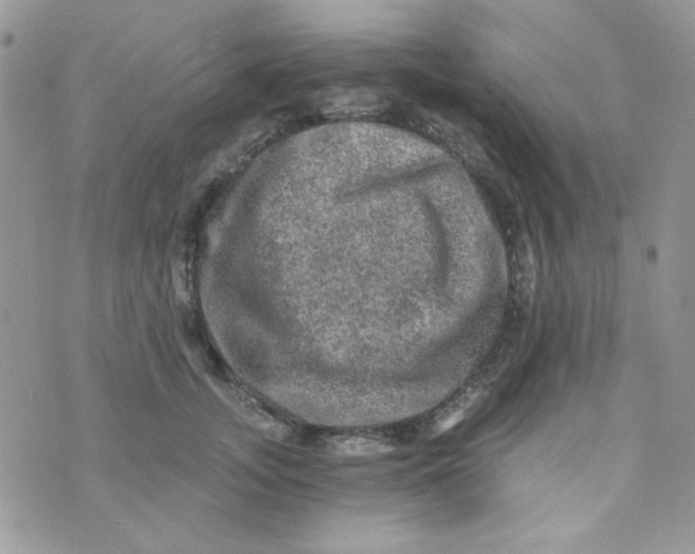 X0000073750755200608311935