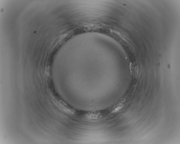 X0000073750756200608311935