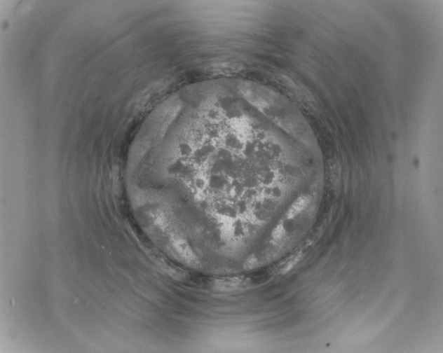 X0000073750757200608311935