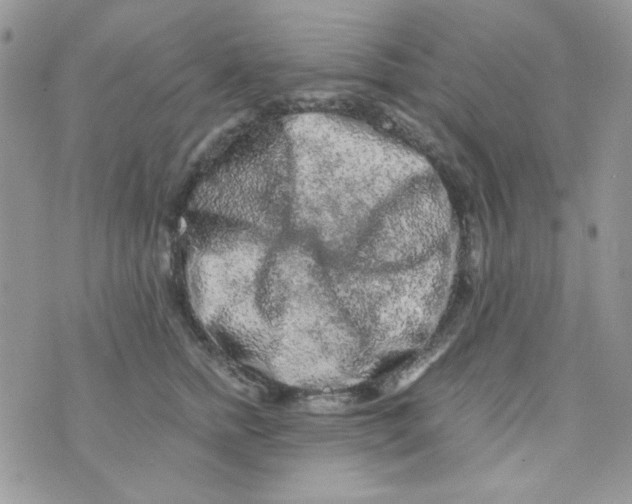 X0000073750758200608311935