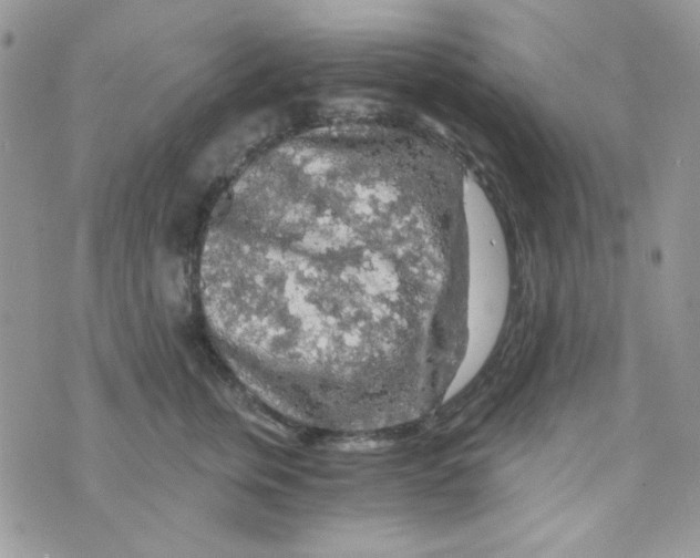 X0000073750759200608311935