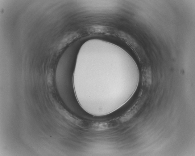 X0000073750760200608311935