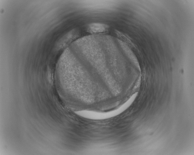 X0000073750763200608311935