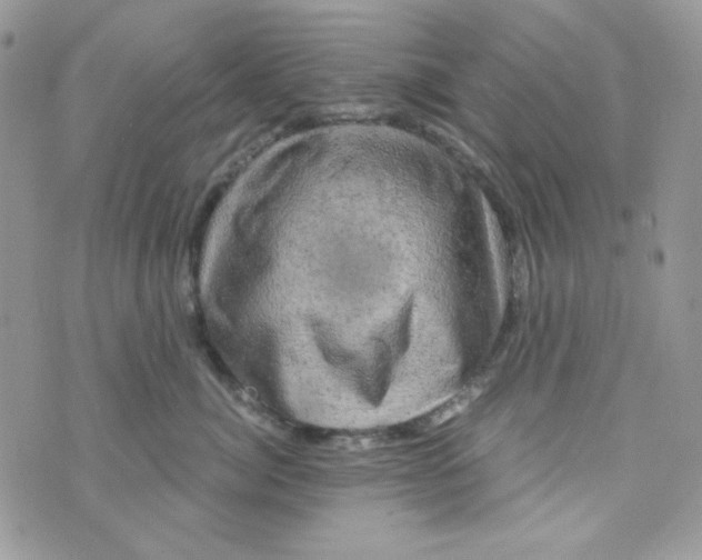 X0000073750764200608311935