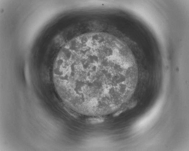 X0000073750765200608311935