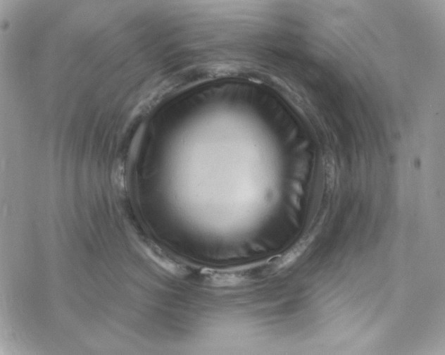 X0000073750766200608311935