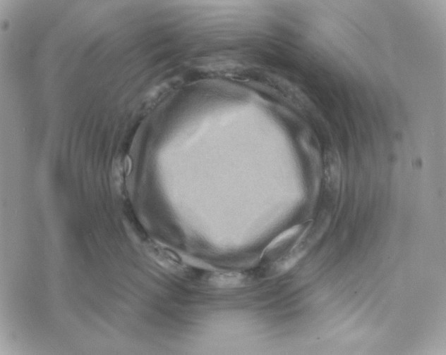 X0000073750767200608311935