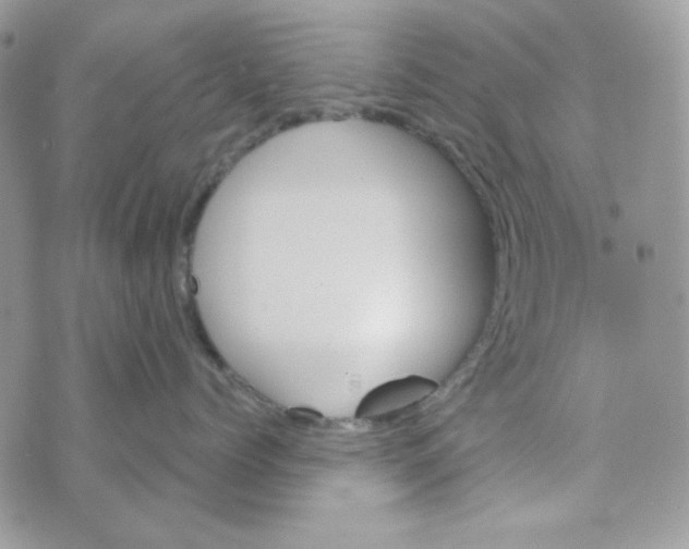 X0000073750768200608311935