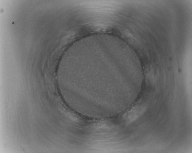 X0000073750769200608311934