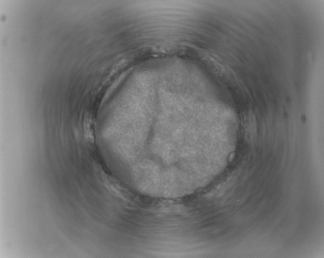 X0000073750770200608311934