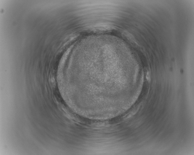 X0000073750771200608311934