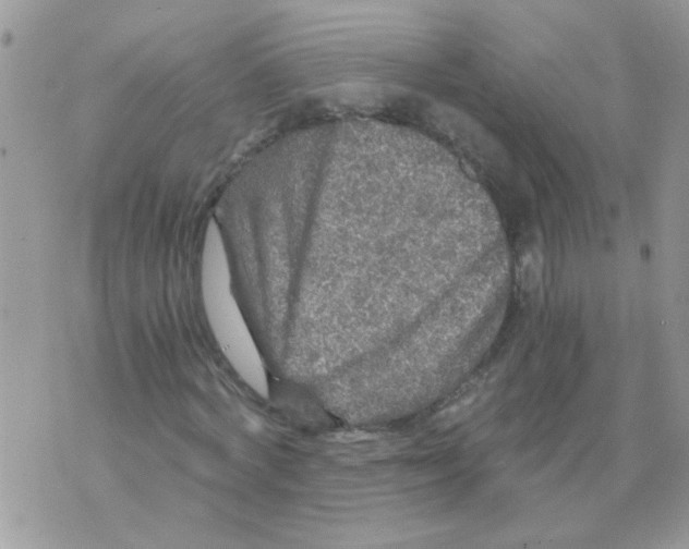 X0000073750772200608311934