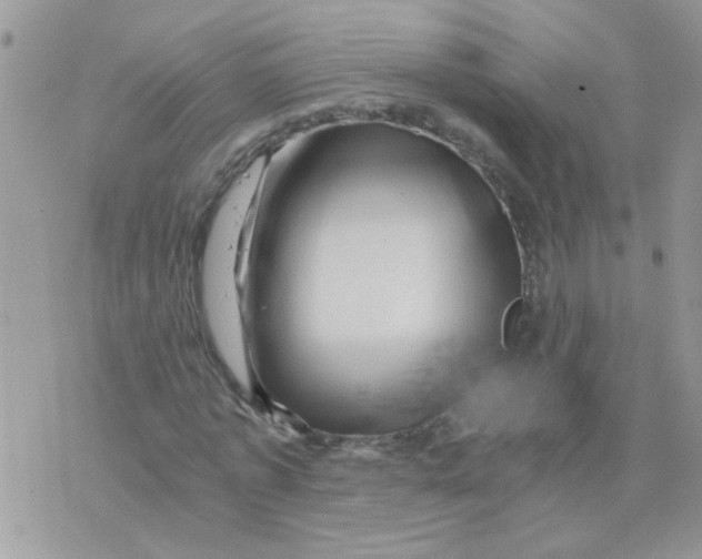 X0000073750773200608311934