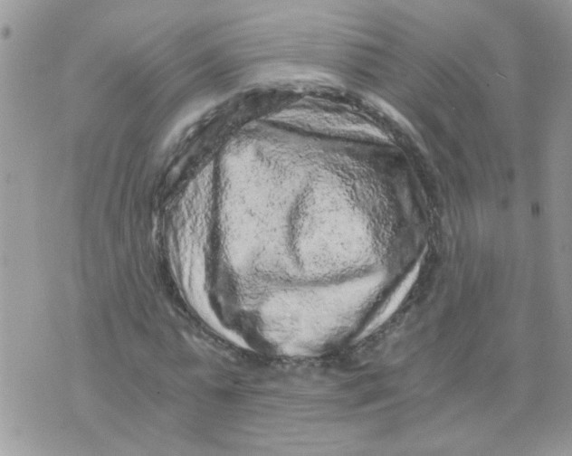 X0000073750775200608311934