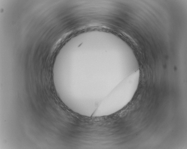 X0000073750776200608311934