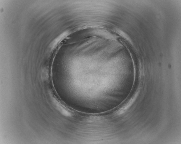 X0000073750777200608311934