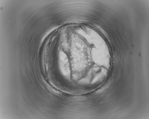 X0000073750779200608311934