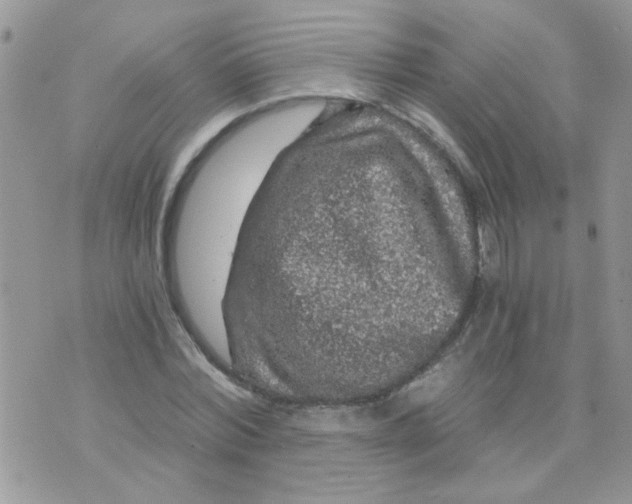 X0000073750780200608311934