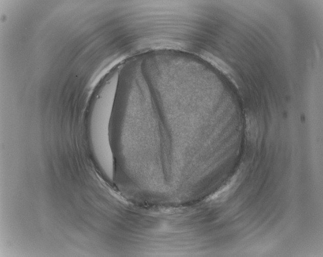 X0000073750782200608311934