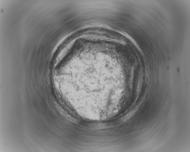 X0000073750783200608311934