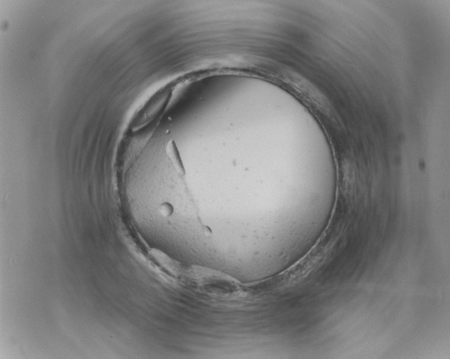 X0000073750784200608311934