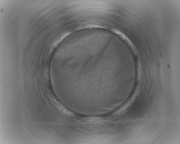 X0000073750785200608311934