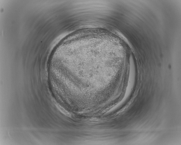 X0000073750787200608311934