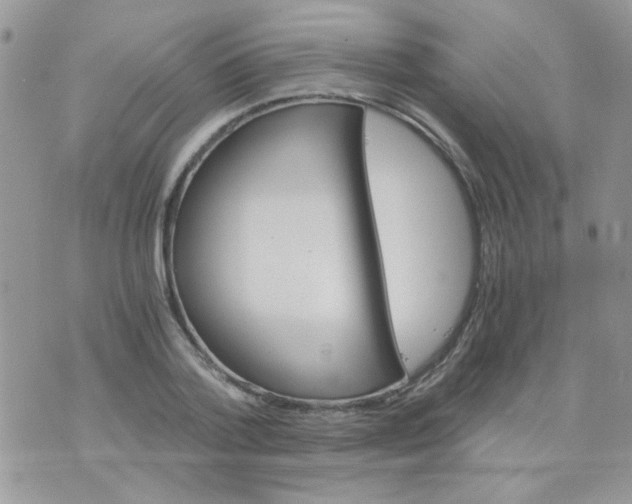 X0000073750788200608311934