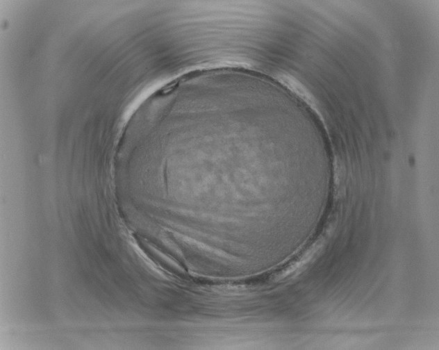 X0000073750789200608311934