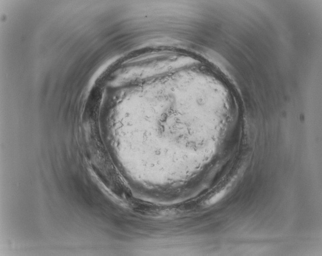 X0000073750791200608311934