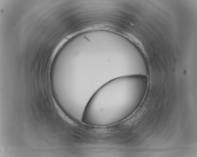 X0000073750792200608311934