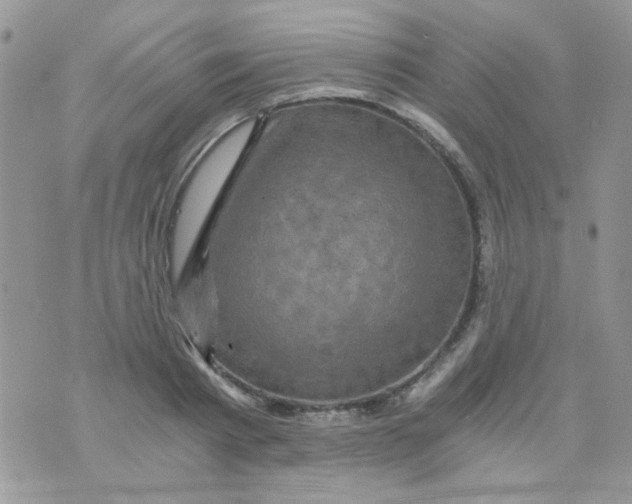 X0000073750793200608311934