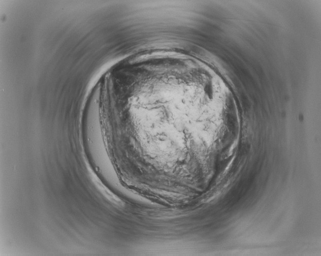 X0000073750795200608311934