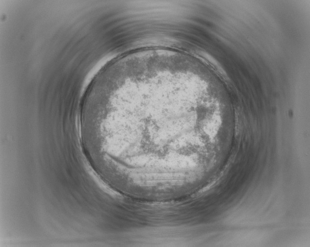 X0000073750796200608311934