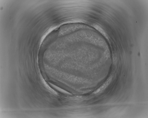 X0000073750797200608311934