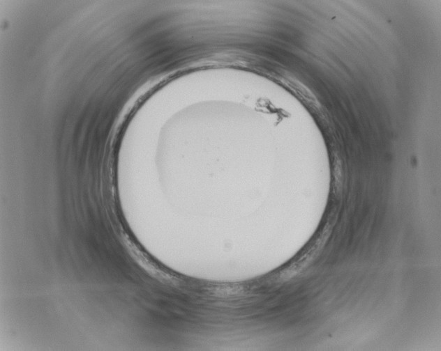 X0000073750800200608311934