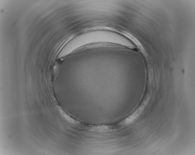 X0000073750801200608311934