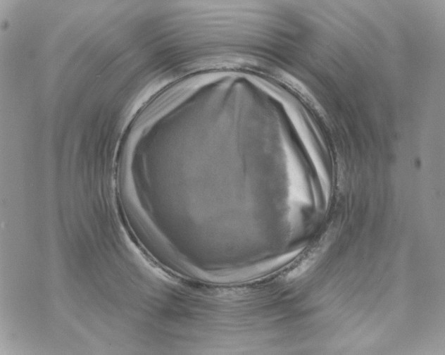 X0000073750802200608311934