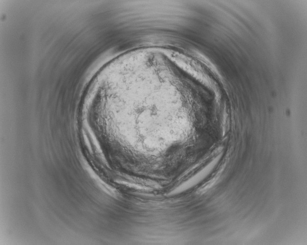 X0000073750803200608311934